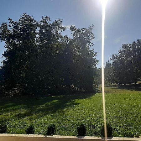 Apartman Marin Livno Exteriér fotografie